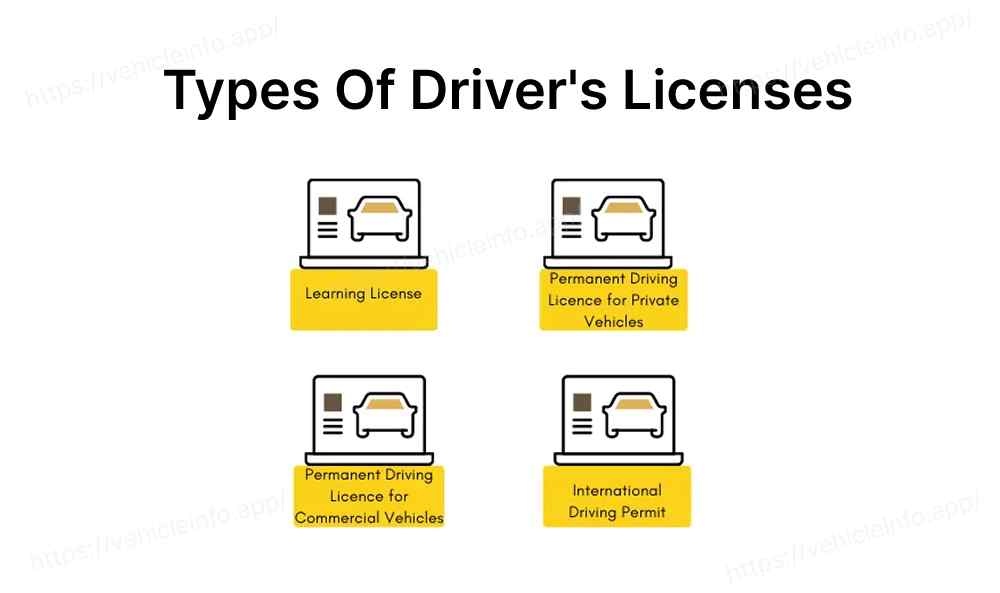In India, there are several different types of driver's licenses.